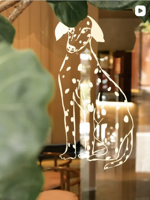 Dalmatian — Window graphic illustration by Sykes Signs